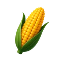 Corn